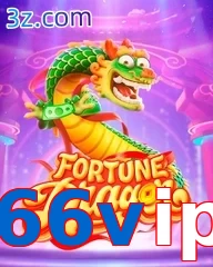 66vip